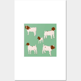 Boer Goats Pattern Sage Posters and Art